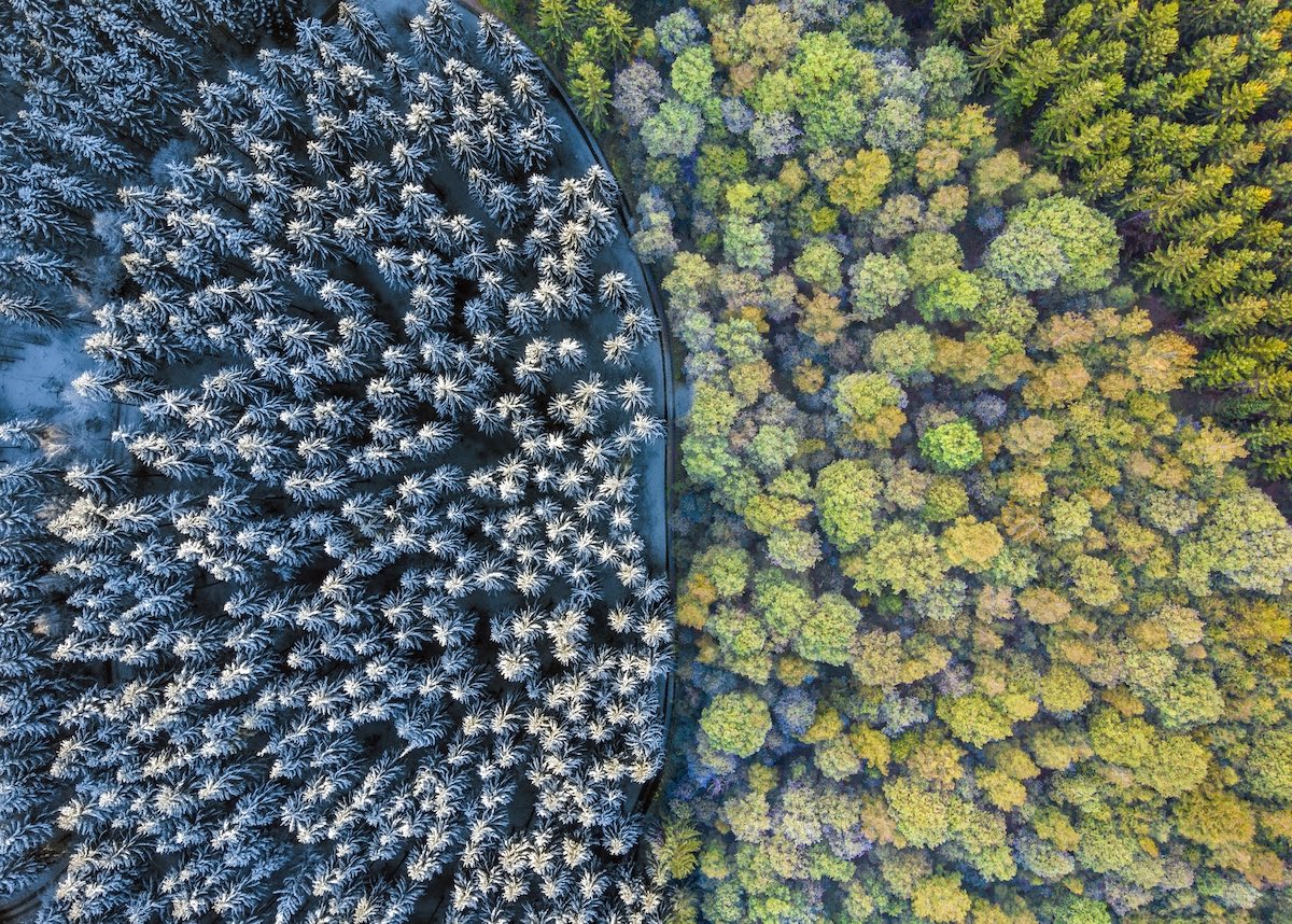 An aerial photography of a colorful forest and a forest covered in the snow under sunlight