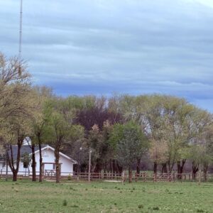 Nature restoration in an ecosystem in La Pampa, Argentina