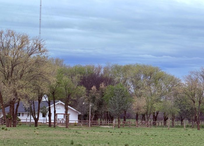 WhatsApp Image 2025-10-30 at 7.22.18 PM-2