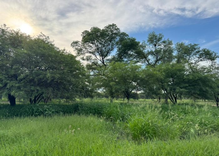 WhatsApp Image 2026-01-30 at 5.16.11 PM