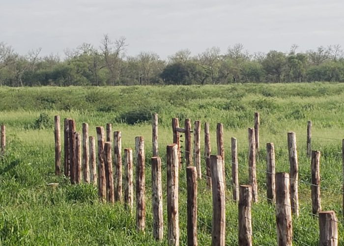 WhatsApp Image 2026-01-31 at 2.36.47 PM-3 (1)